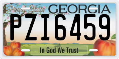 GA license plate PZI6459