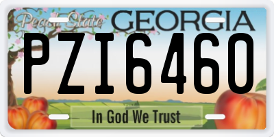 GA license plate PZI6460