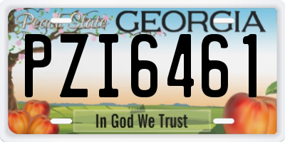 GA license plate PZI6461