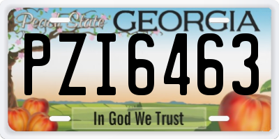 GA license plate PZI6463