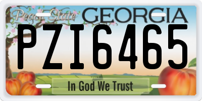 GA license plate PZI6465
