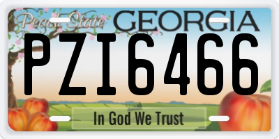 GA license plate PZI6466