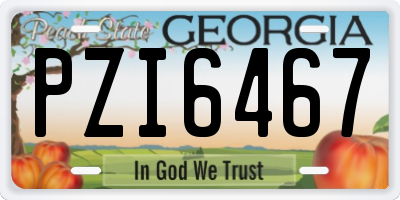 GA license plate PZI6467