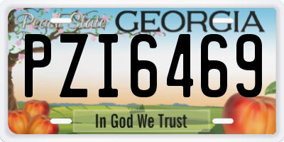 GA license plate PZI6469