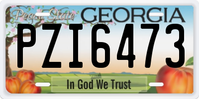 GA license plate PZI6473