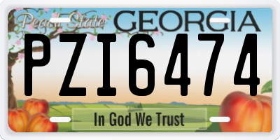GA license plate PZI6474