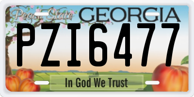 GA license plate PZI6477