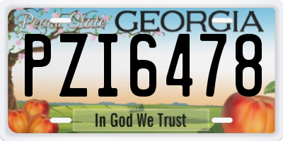 GA license plate PZI6478