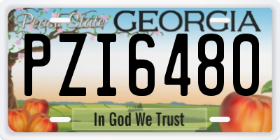 GA license plate PZI6480
