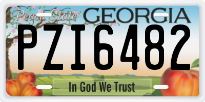 GA license plate PZI6482