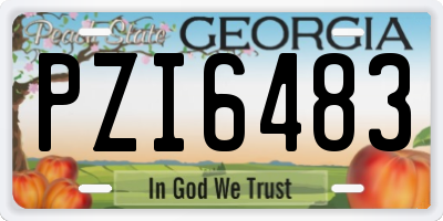 GA license plate PZI6483
