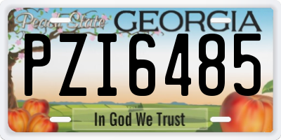 GA license plate PZI6485
