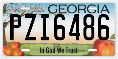 GA license plate PZI6486