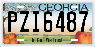 GA license plate PZI6487