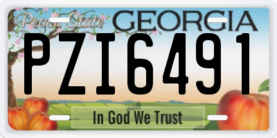 GA license plate PZI6491