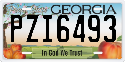 GA license plate PZI6493