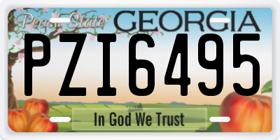 GA license plate PZI6495