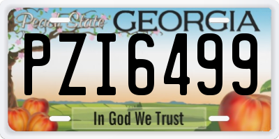 GA license plate PZI6499