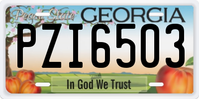 GA license plate PZI6503