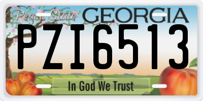 GA license plate PZI6513