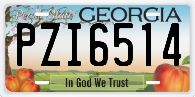 GA license plate PZI6514