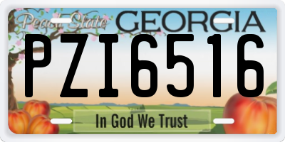 GA license plate PZI6516