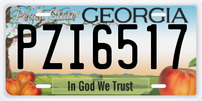 GA license plate PZI6517