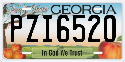 GA license plate PZI6520