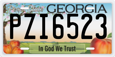 GA license plate PZI6523