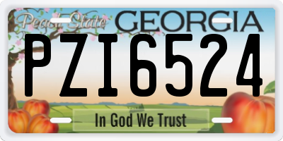 GA license plate PZI6524