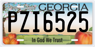 GA license plate PZI6525