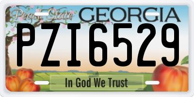GA license plate PZI6529