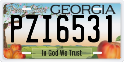 GA license plate PZI6531