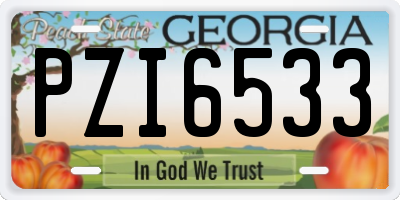 GA license plate PZI6533
