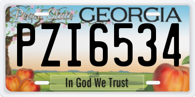 GA license plate PZI6534
