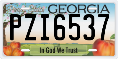 GA license plate PZI6537