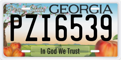 GA license plate PZI6539