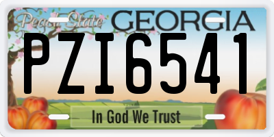 GA license plate PZI6541