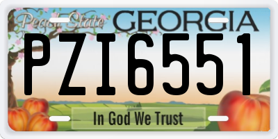 GA license plate PZI6551