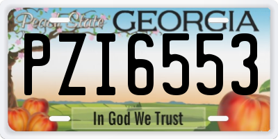 GA license plate PZI6553
