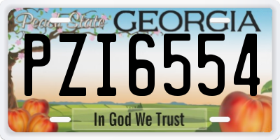GA license plate PZI6554