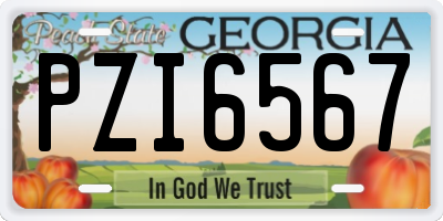 GA license plate PZI6567