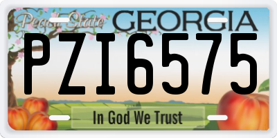 GA license plate PZI6575