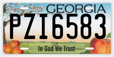 GA license plate PZI6583