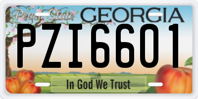 GA license plate PZI6601