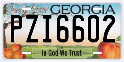 GA license plate PZI6602