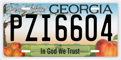 GA license plate PZI6604