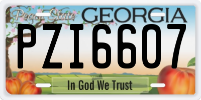 GA license plate PZI6607