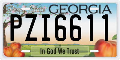 GA license plate PZI6611