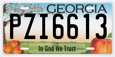GA license plate PZI6613